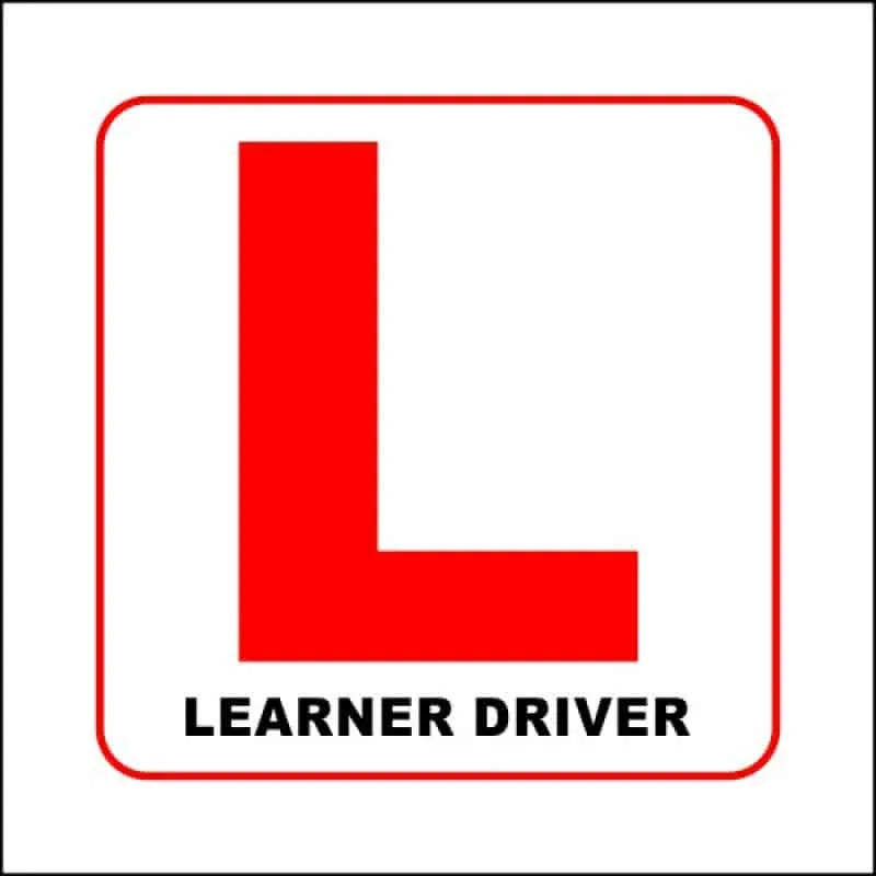 Getting Your Learner's License is this Easy